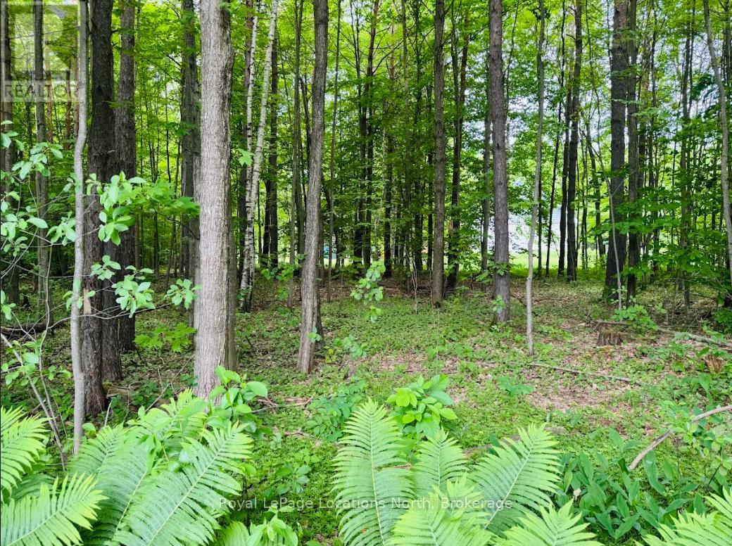 80 Concession 8 Road E, Tiny, Ontario  L0L 2J0 - Photo 18 - S12780642