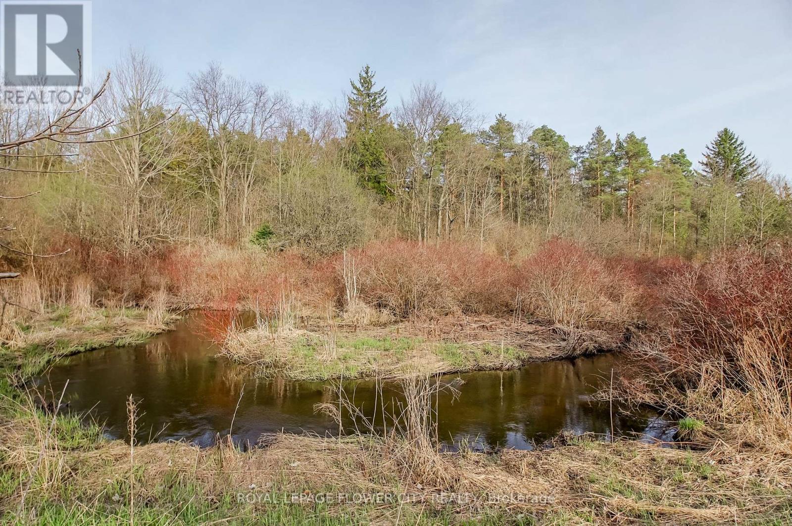 7555 Old Church Road, Caledon, Ontario  L7E 0P5 - Photo 43 - W13058188