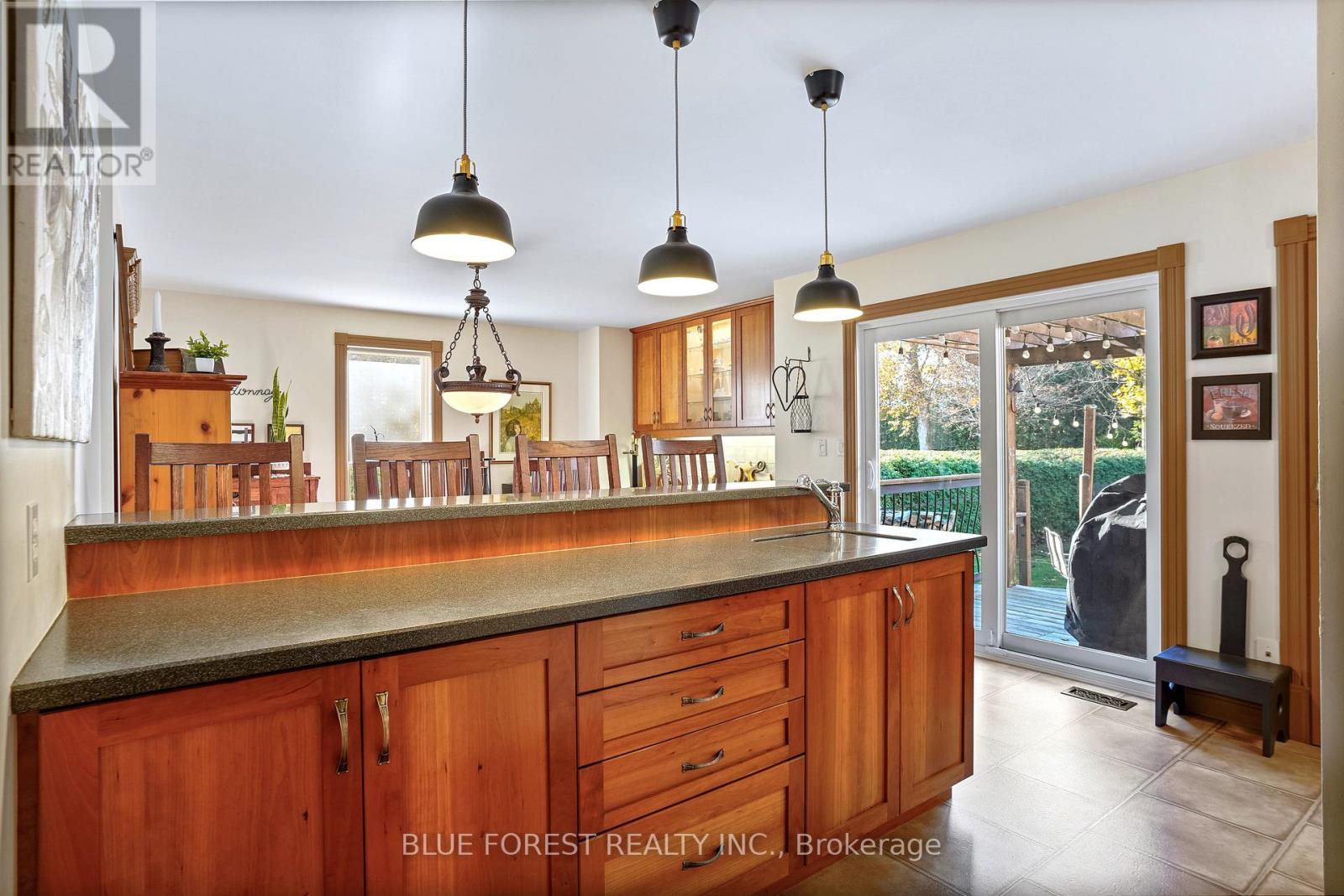 174 Mcarthur Street, Dutton/dunwich, Ontario  N0L 1J0 - Photo 15 - X12842618