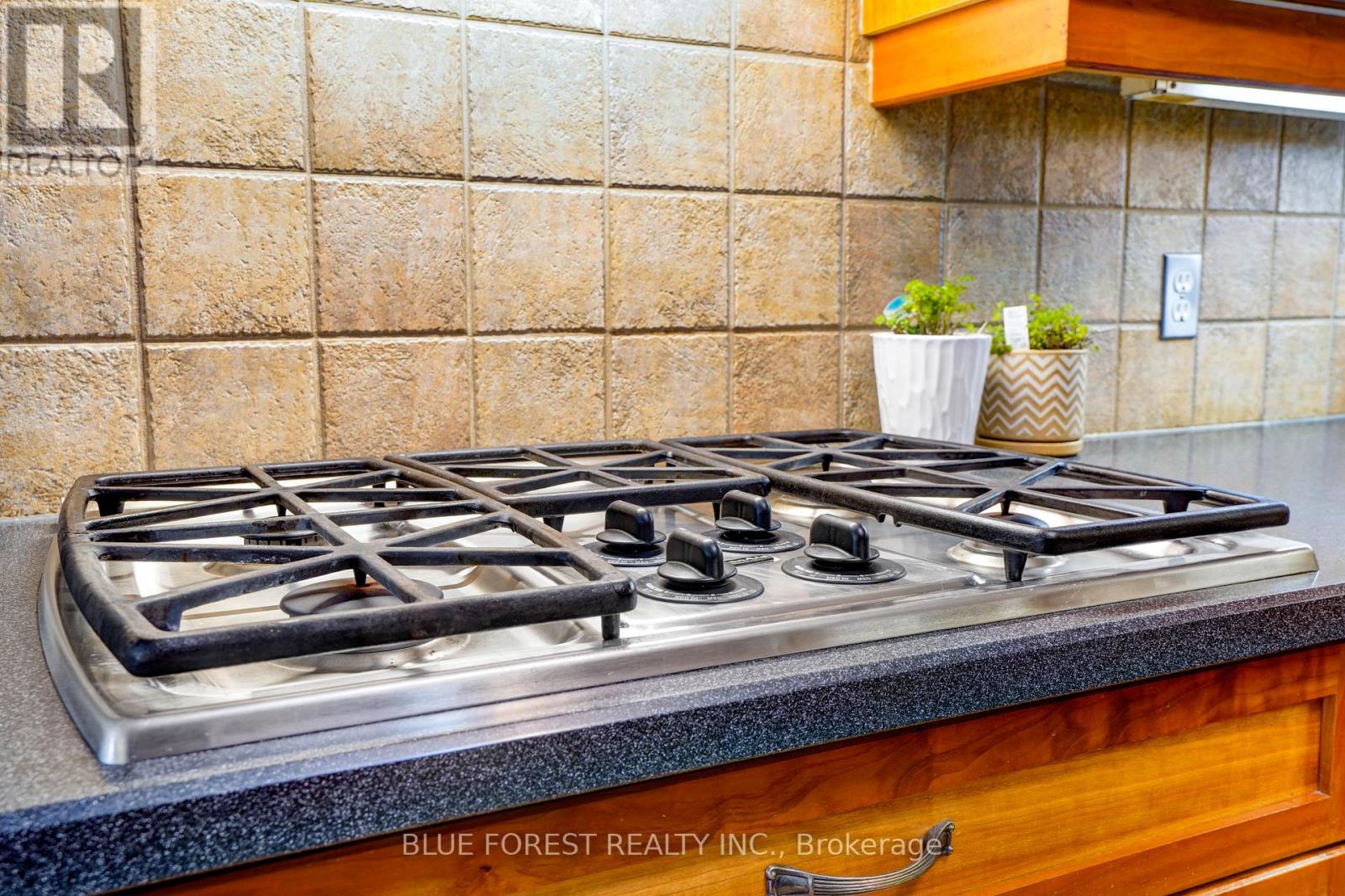 174 Mcarthur Street, Dutton/dunwich, Ontario  N0L 1J0 - Photo 14 - X12842618