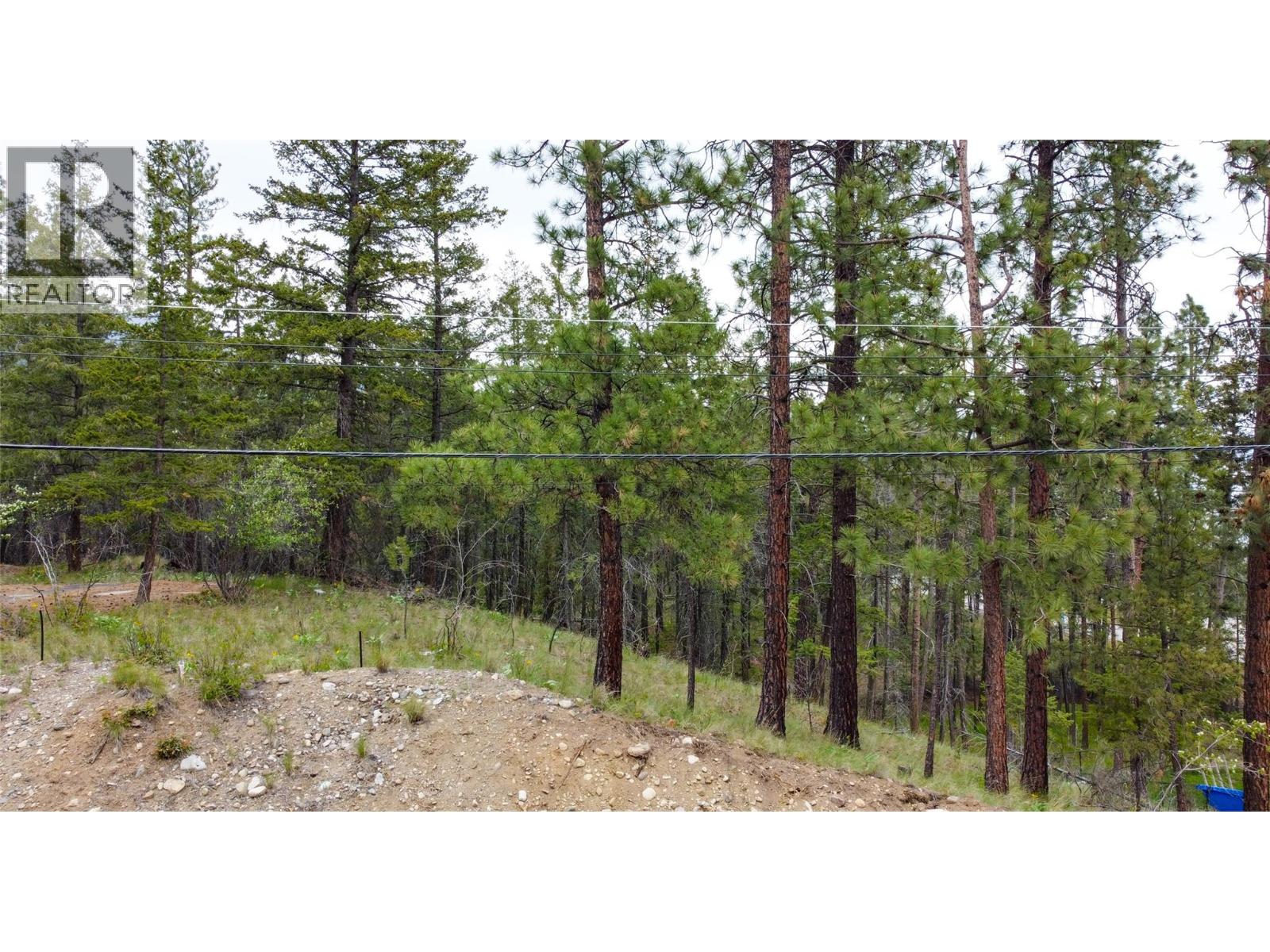 550 Muir Road, Kelowna, British Columbia  V1Z 3W1 - Photo 5 - 10384768