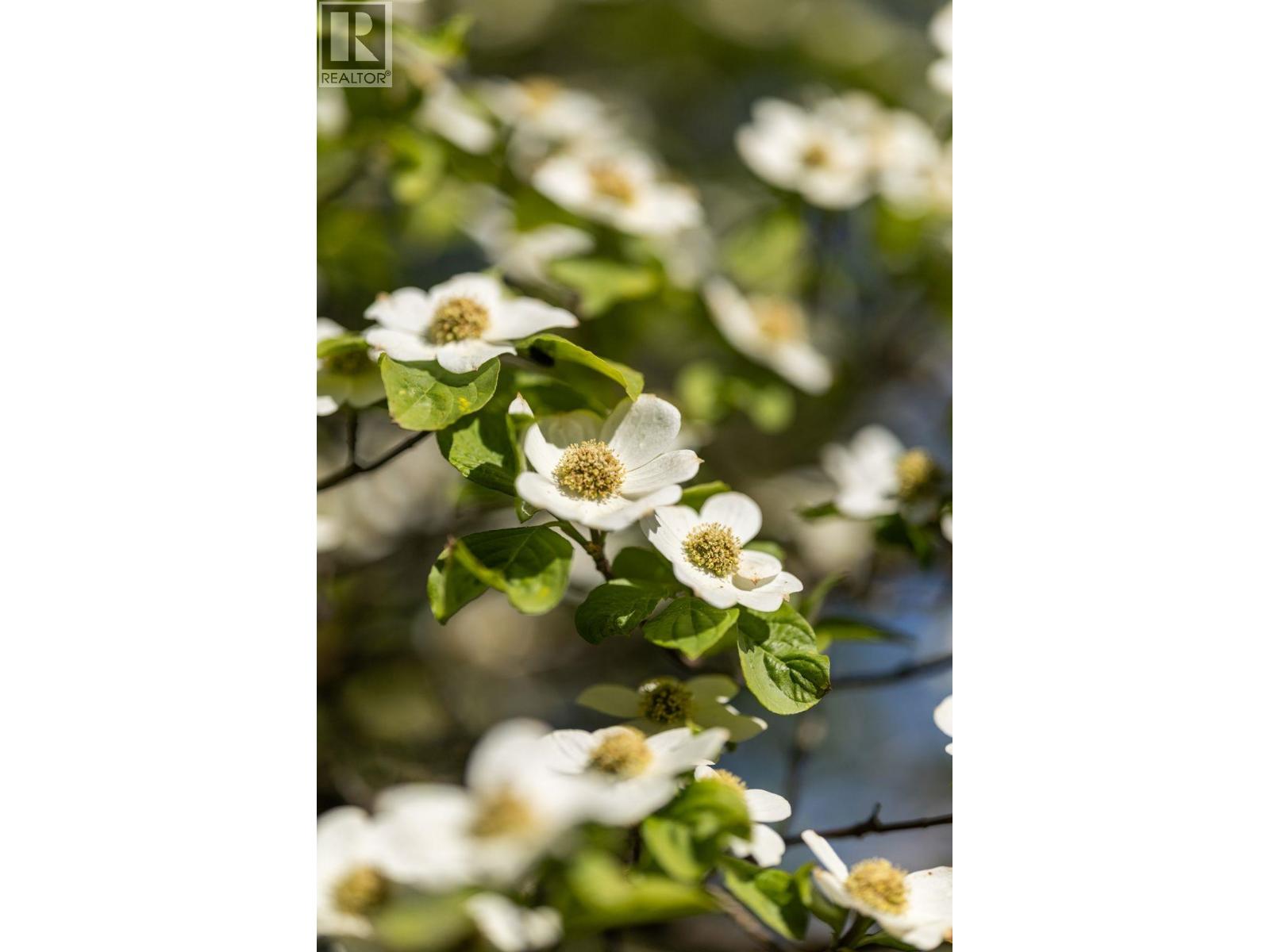 4578 Moss Street, Vancouver, British Columbia  V5R 3T1 - Photo 37 - R3117384