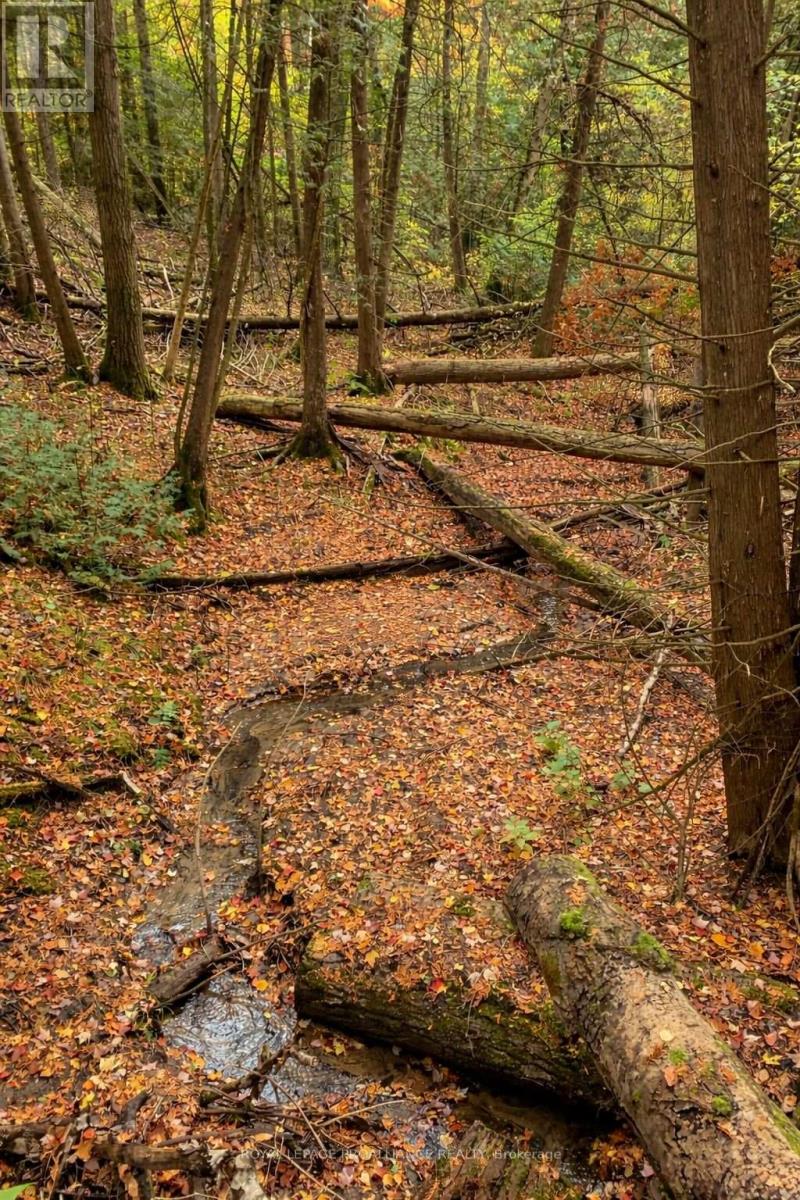 42 Nichols Road, Quinte West, Ontario  K0K 1H0 - Photo 45 - X12924822