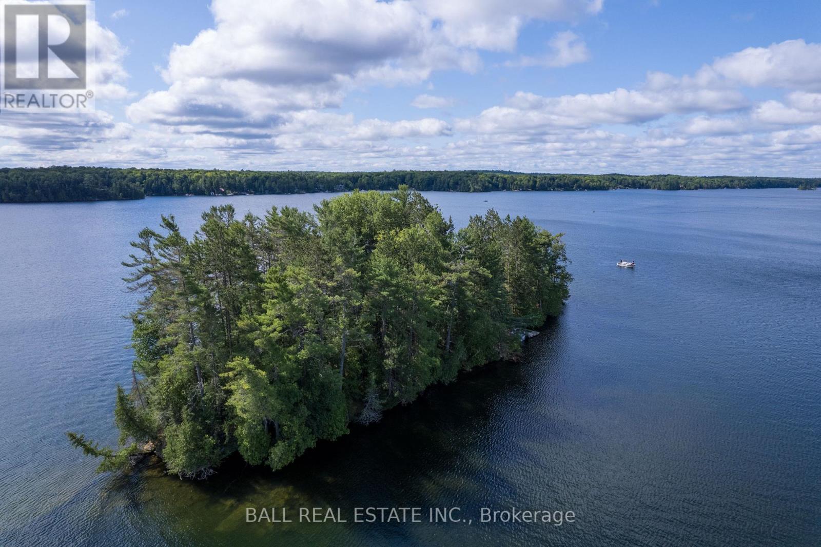 25 Garden Island, North Kawartha, Ontario  K0L 1A0 - Photo 31 - X13059622