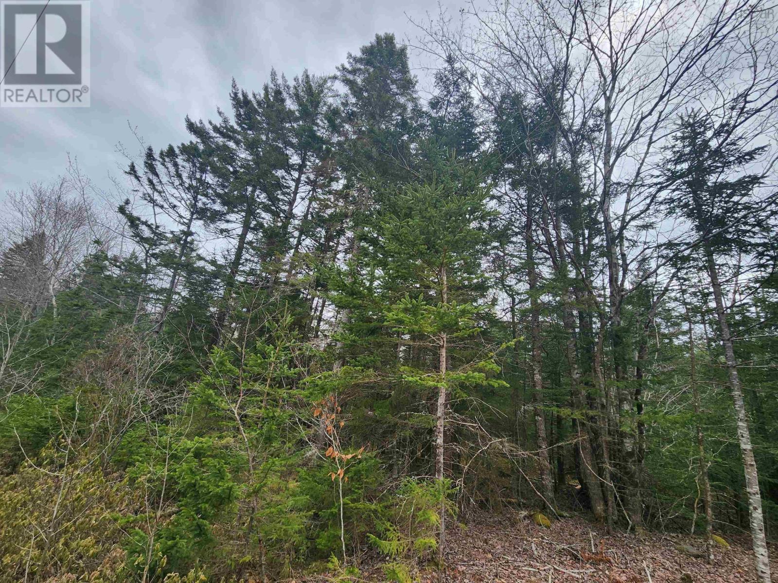 Lot Highway 340, Pleasant Valley, Nova Scotia  B5A 5P1 - Photo 18 - 202608015