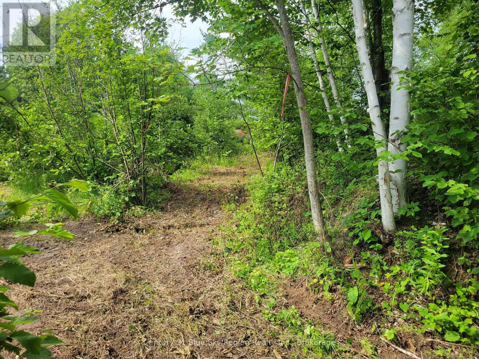 181 Ruston Road, Nipissing, Ontario  P0H 1H0 - Photo 12 - X13051548