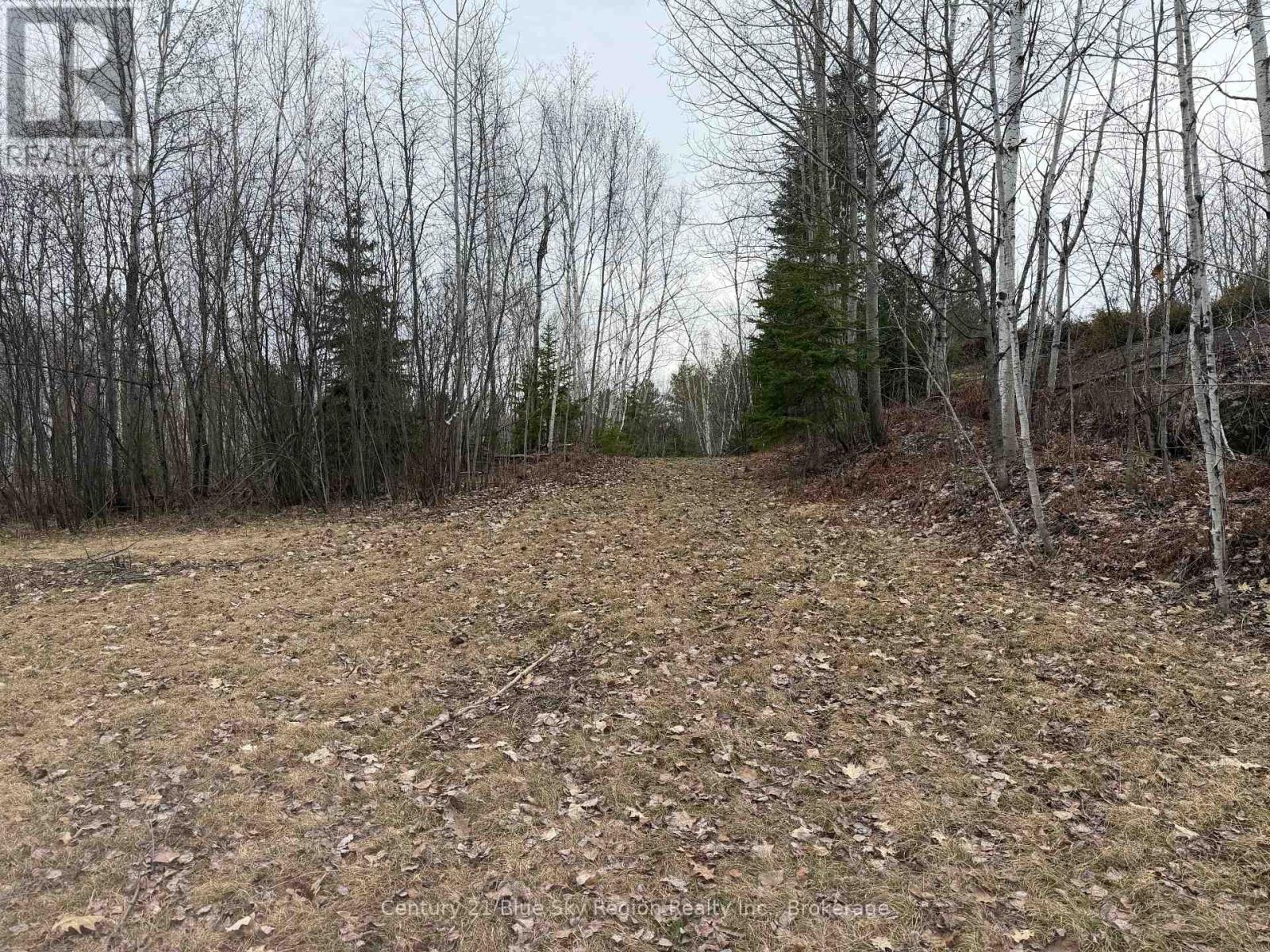 181 Ruston Road, Nipissing, Ontario  P0H 1H0 - Photo 2 - X13051548