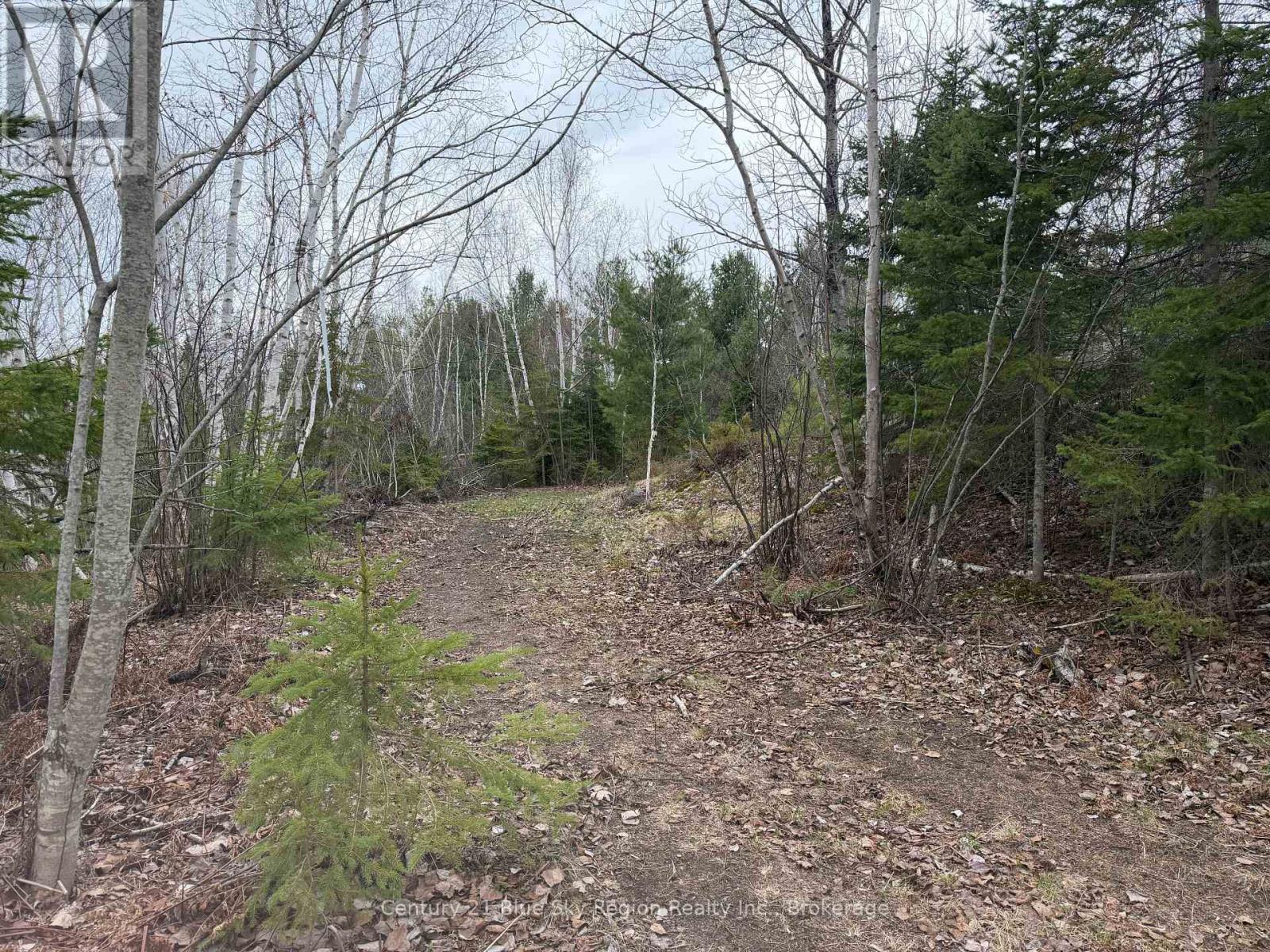 181 Ruston Road, Nipissing, Ontario  P0H 1H0 - Photo 3 - X13051548