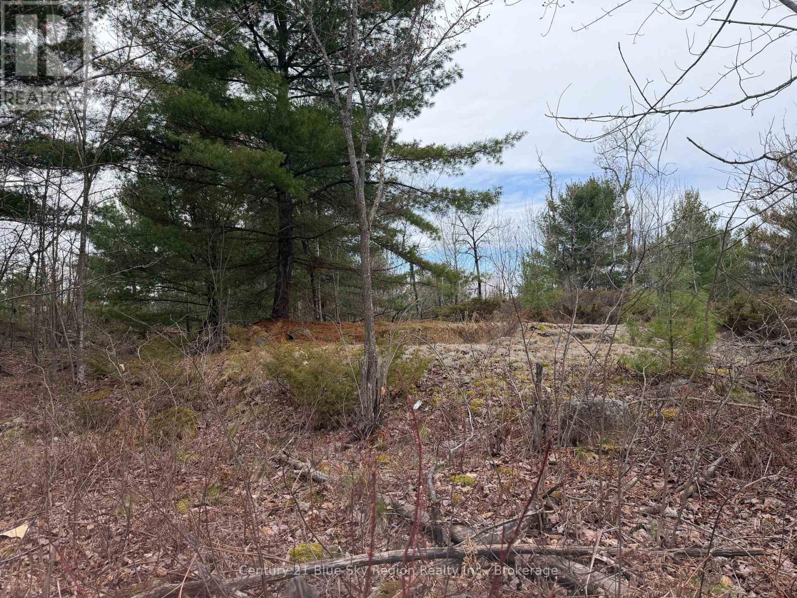 181 Ruston Road, Nipissing, Ontario  P0H 1H0 - Photo 6 - X13051548