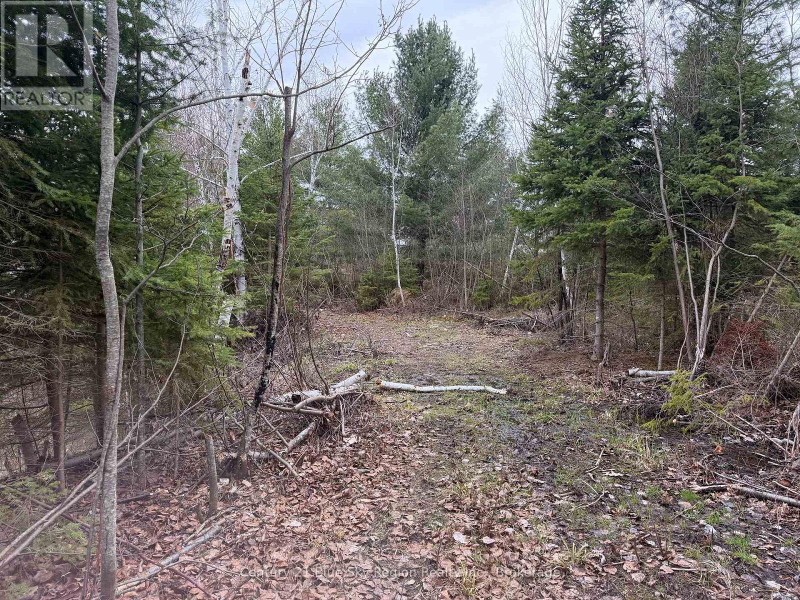 181 Ruston Road, Nipissing, Ontario  P0H 1H0 - Photo 5 - X13051548