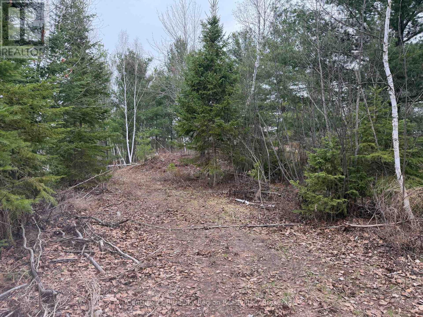 181 Ruston Road, Nipissing, Ontario  P0H 1H0 - Photo 4 - X13051548