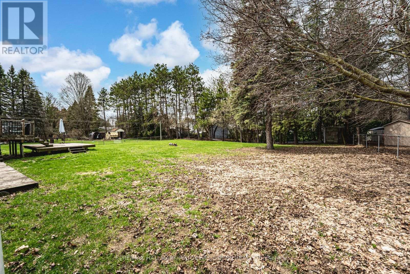 7972 County 13 Road, Adjala-Tosorontio, Ontario  L0M 1M0 - Photo 16 - N13034806