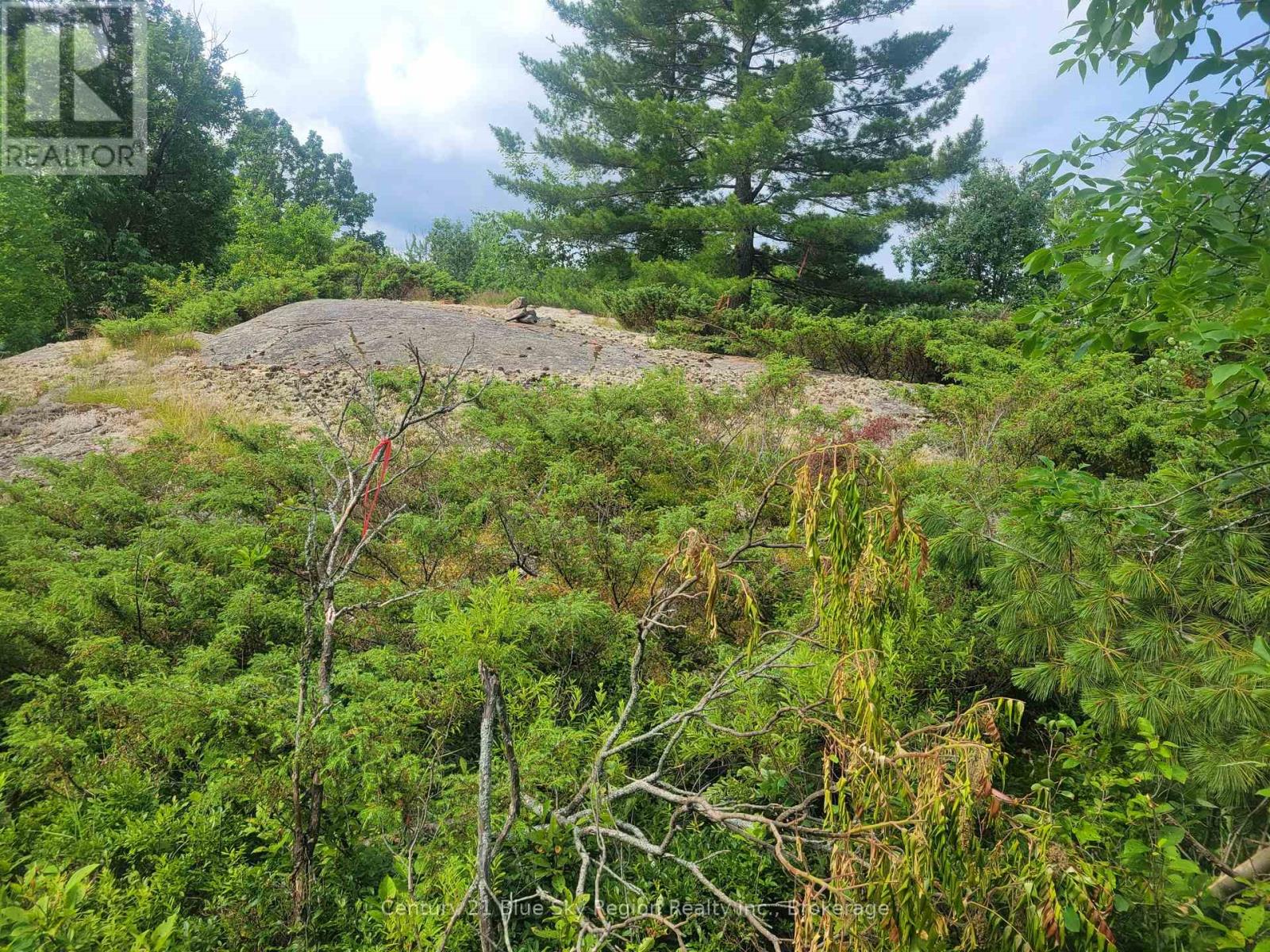 181 Ruston Road, Nipissing, Ontario  P0H 1H0 - Photo 13 - X13051548