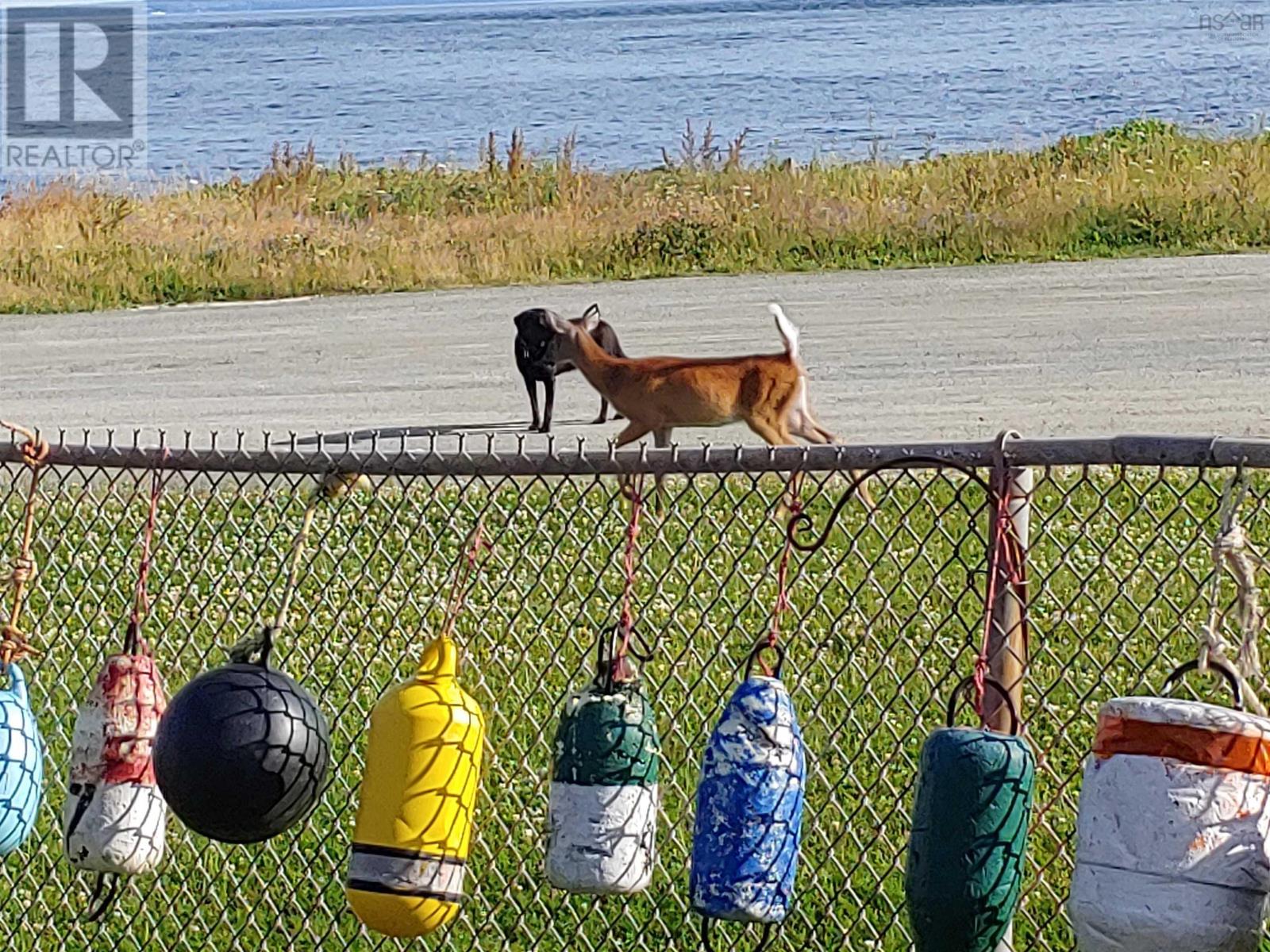 1836 Caribou Island Road, Caribou Island, Nova Scotia  B0K 1H0 - Photo 11 - 202608968