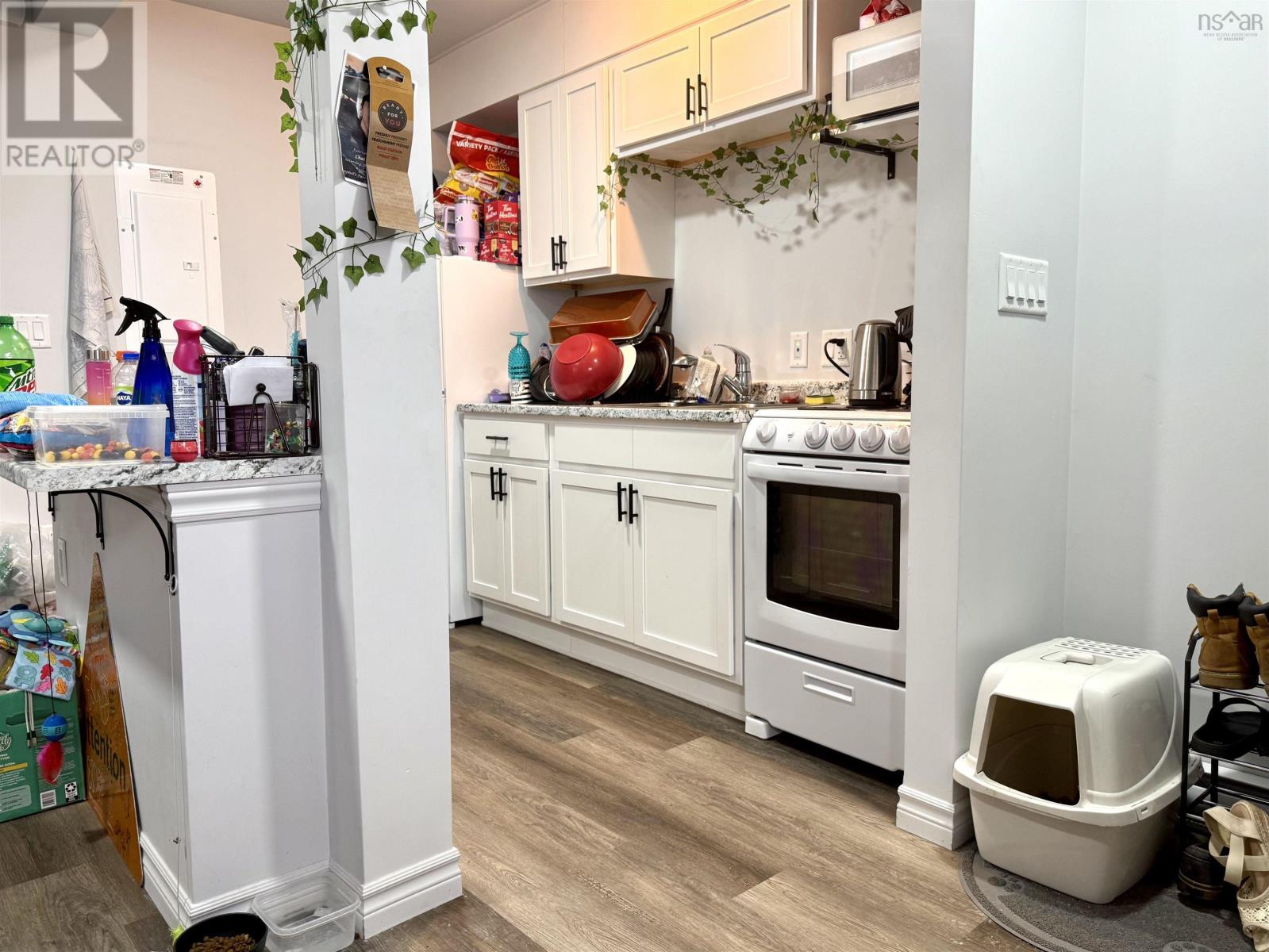 10 Pioneer Street, Springhill, Nova Scotia  B0M 1X0 - Photo 10 - 202609019