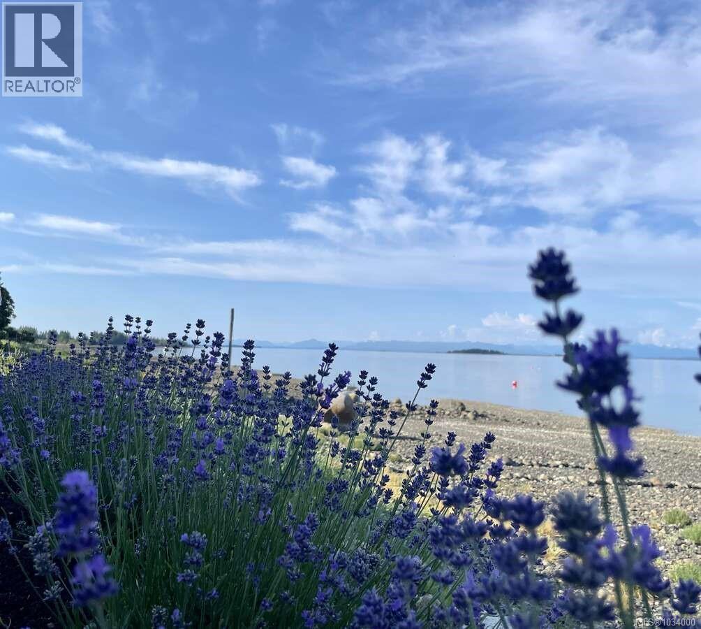 5696 Island Hwy S, Union Bay, British Columbia  V0R 3B0 - Photo 54 - 1034000