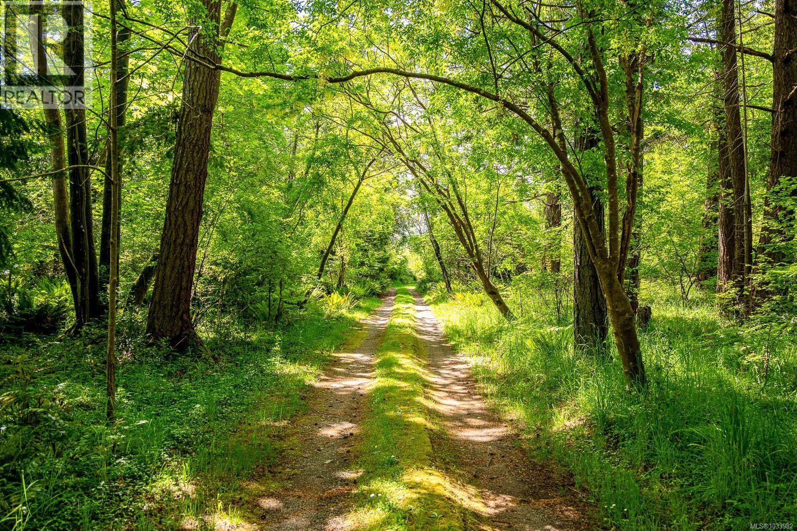 965 Balmoral Rd, Comox, British Columbia  V9M 3W2 - Photo 13 - 1033982