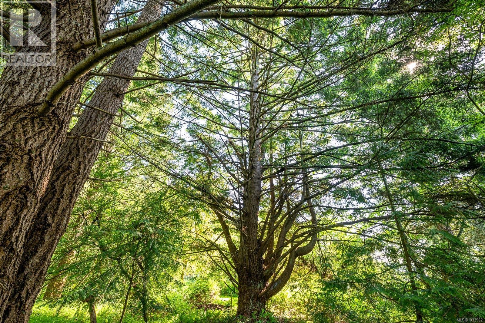 965 Balmoral Rd, Comox, British Columbia  V9M 3W2 - Photo 63 - 1033982