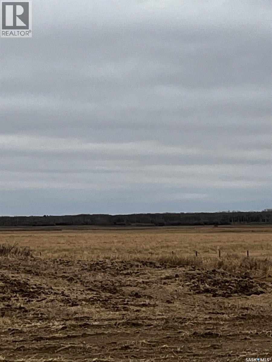Boire Pasture, Montrose Rm No. 315, Saskatchewan  S0L 0P0 - Photo 8 - SK033651