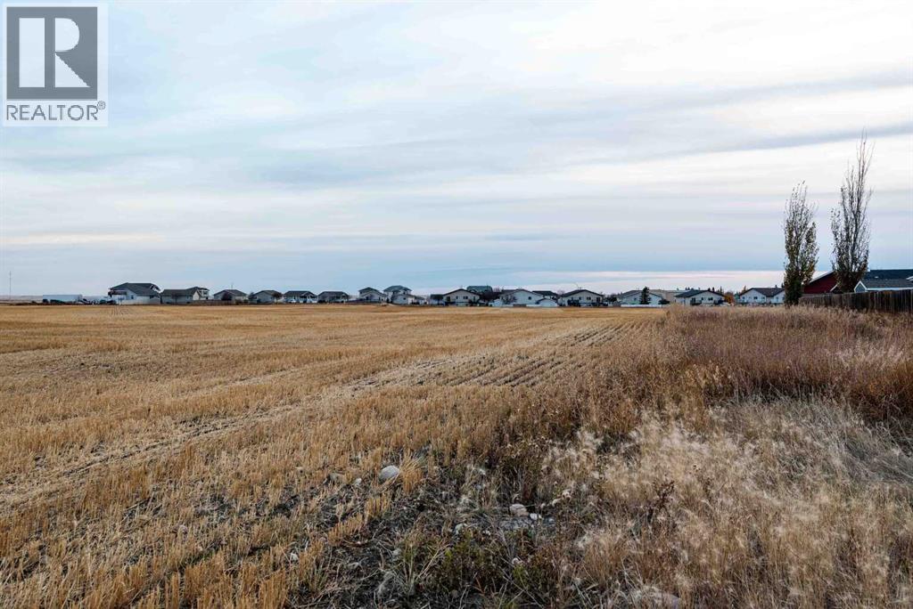 Clt Anderson Subdivision, Three Hills, Alberta  T0M 2A0 - Photo 15 - A2267534