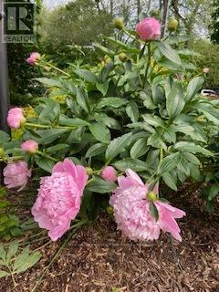 48 Cudmore Road, Oakville, Ontario  L6L 2Y5 - Photo 40 - W13059938