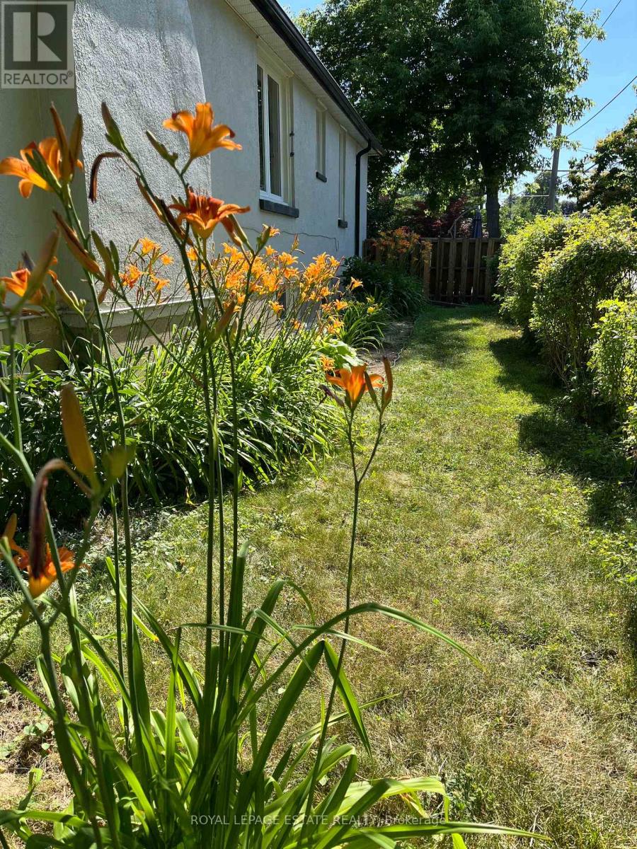 1016 Kipling Avenue, Toronto, Ontario  M9B 3L4 - Photo 9 - W13059968