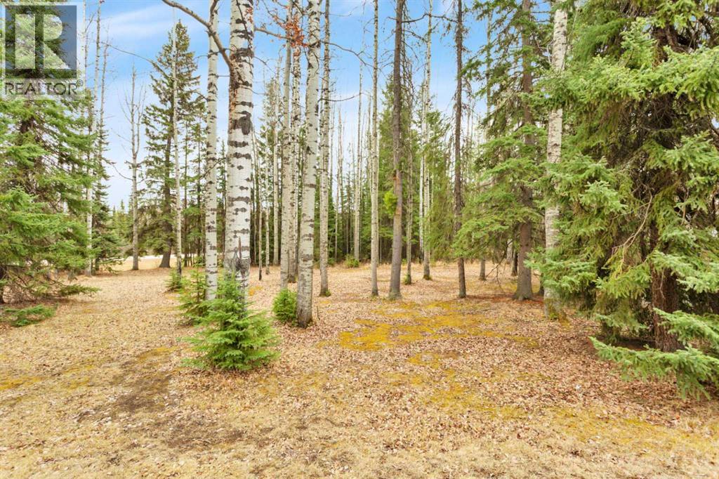 383030 Range Road 7-3, Rural Clearwater County, Alberta  T4T 2A2 - Photo 39 - A2303204