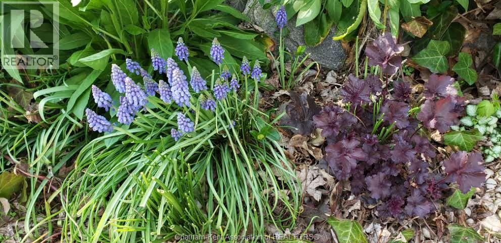 66 Delaware Avenue, Chatham, Ontario  N7L 2W2 - Photo 36 - 26003792