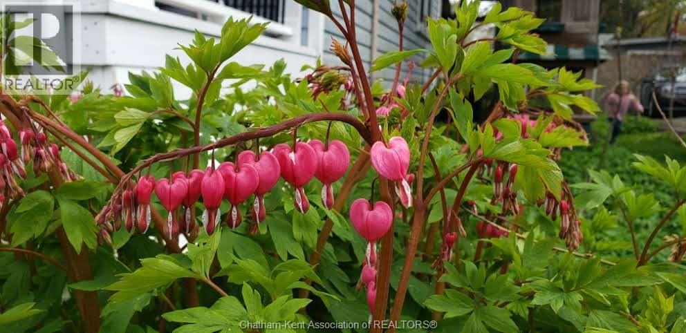 66 Delaware Avenue, Chatham, Ontario  N7L 2W2 - Photo 38 - 26003792