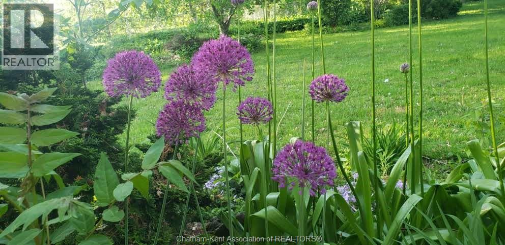 66 Delaware Avenue, Chatham, Ontario  N7L 2W2 - Photo 40 - 26003792