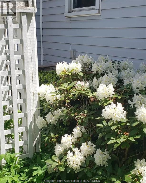 66 Delaware Avenue, Chatham, Ontario  N7L 2W2 - Photo 41 - 26003792