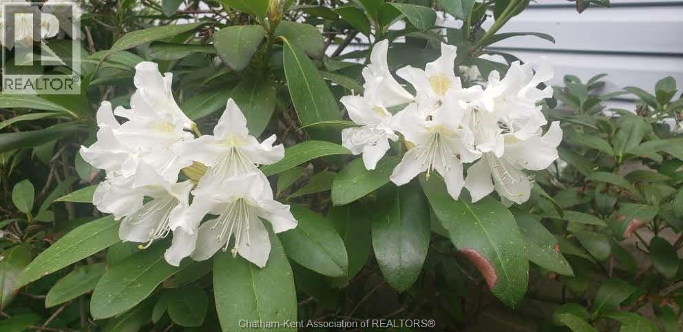 66 Delaware Avenue, Chatham, Ontario  N7L 2W2 - Photo 39 - 26003792