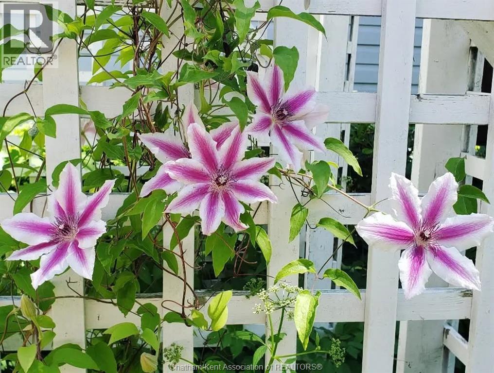 66 Delaware Avenue, Chatham, Ontario  N7L 2W2 - Photo 46 - 26003792