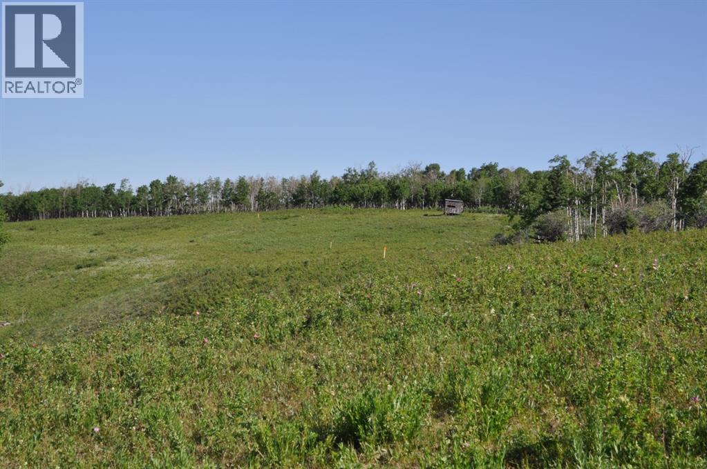 - -, Millarville, Alberta  T1S 2V7 - Photo 7 - A2300060