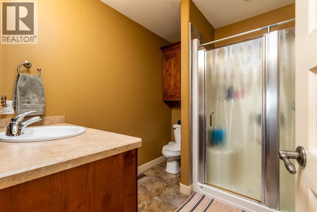 23056 Twp 491, Rural Vermilion River, Alberta  T0B 2P0 - Photo 14 - A2290343