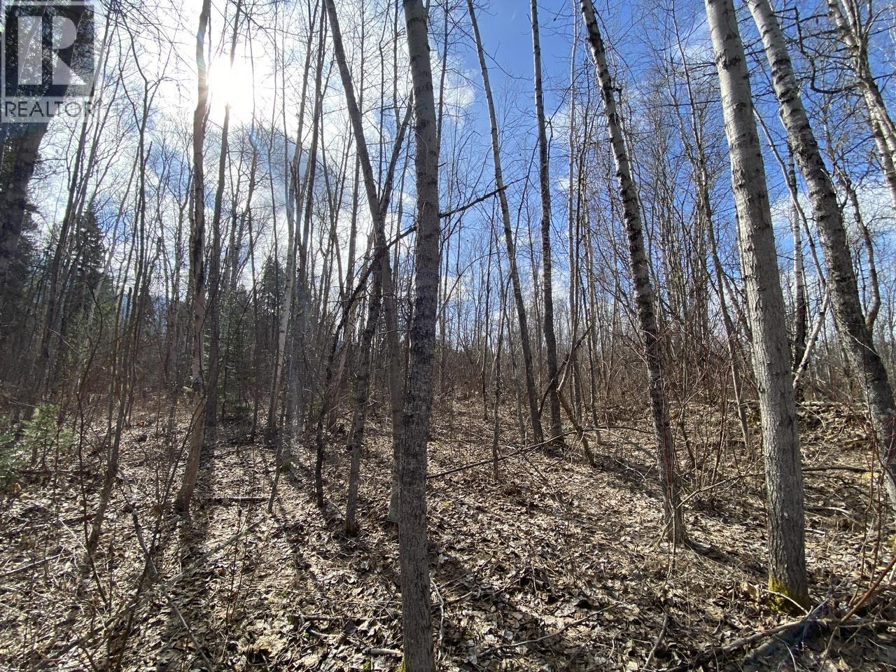 Lot 26 Chappel Road, Hazelton, British Columbia  V0J 2R0 - Photo 3 - R3117491