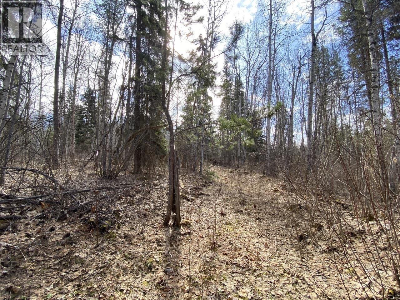 Lot 26 Chappel Road, Hazelton, British Columbia  V0J 2R0 - Photo 2 - R3117491