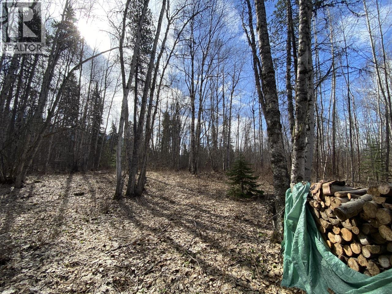 Lot 26 Chappel Road, Hazelton, British Columbia  V0J 2R0 - Photo 8 - R3117491