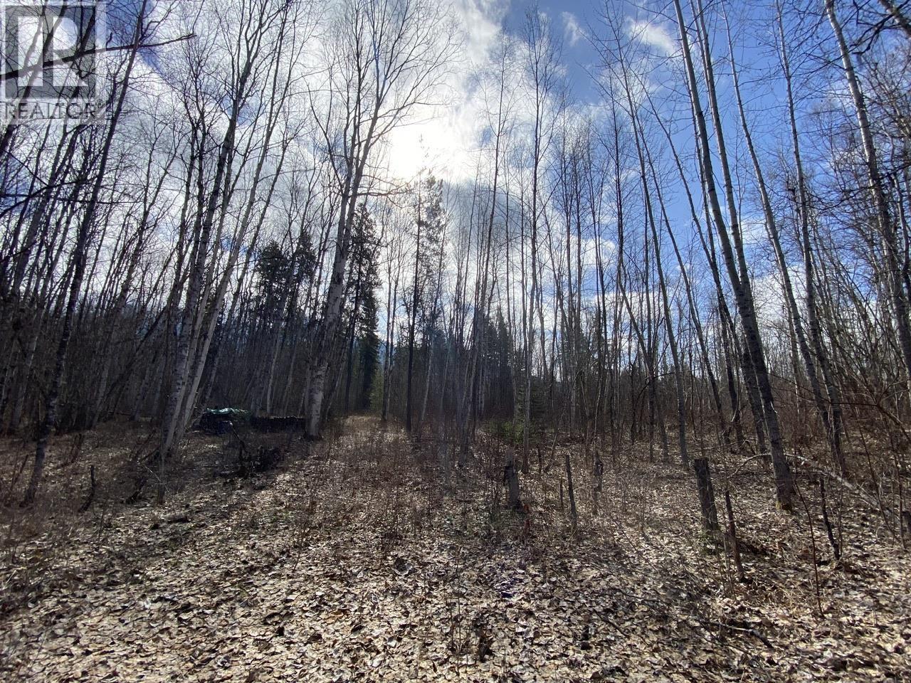 Lot 26 Chappel Road, Hazelton, British Columbia  V0J 2R0 - Photo 5 - R3117491