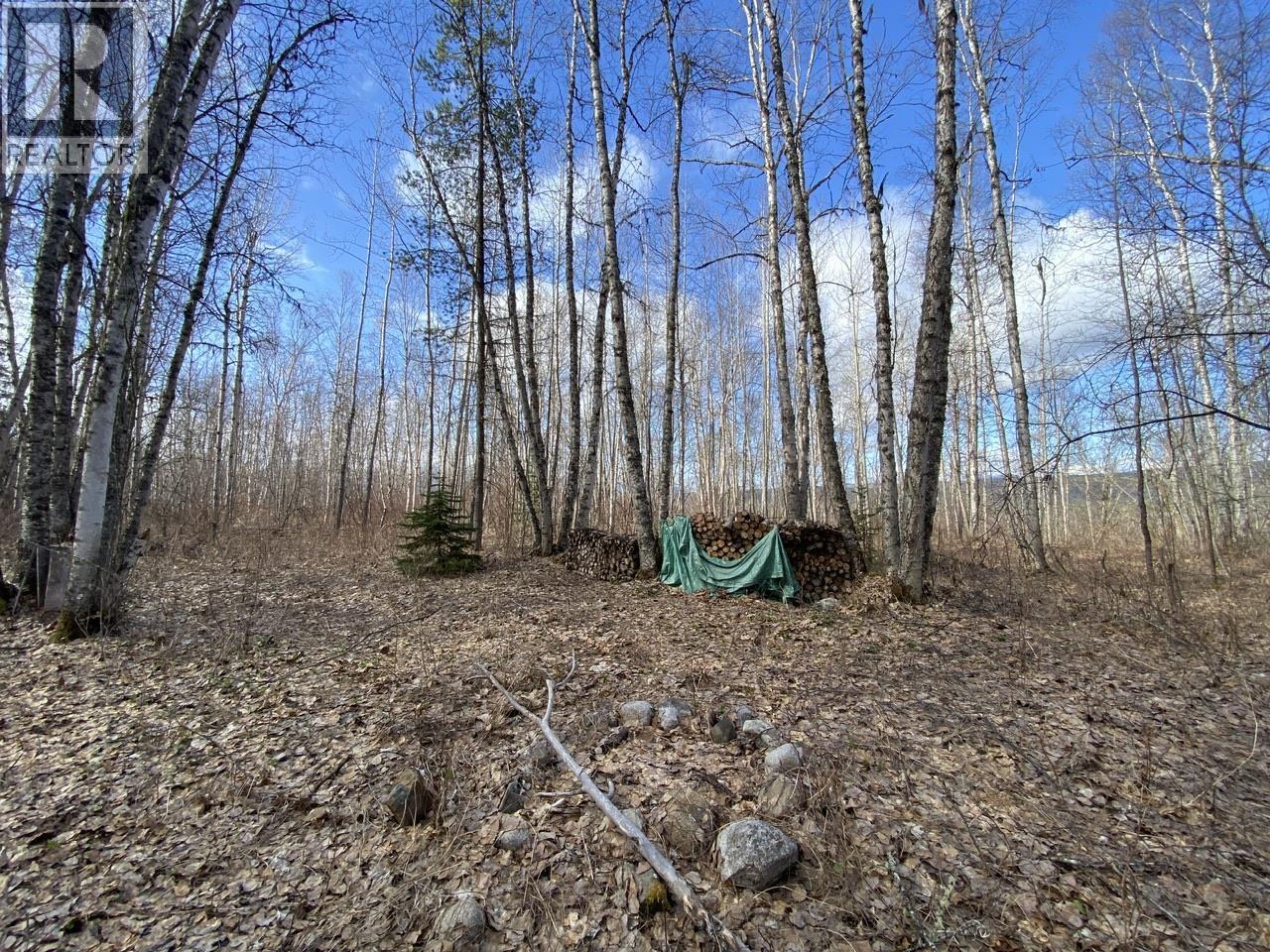 Lot 26 Chappel Road, Hazelton, British Columbia  V0J 2R0 - Photo 9 - R3117491