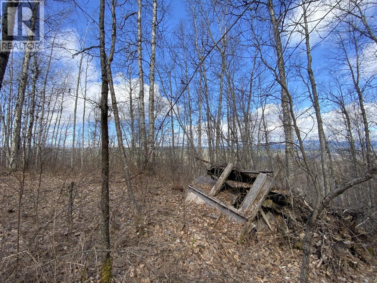 Lot 26 Chappel Road, Hazelton, British Columbia  V0J 2R0 - Photo 7 - R3117491