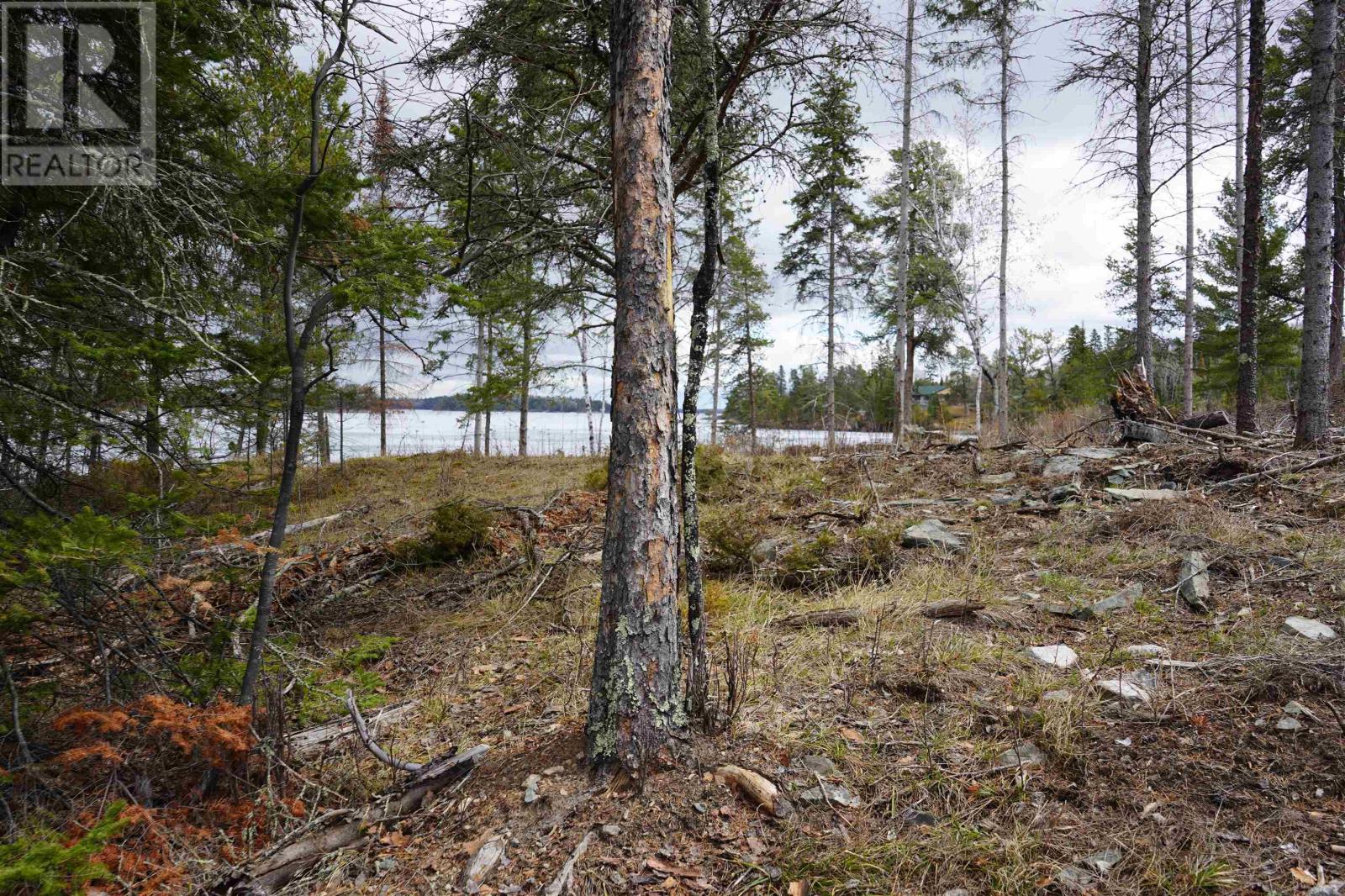 19a Miller Rd, Sioux Narrows, Ontario  P0X 1N0 - Photo 14 - TB2600439