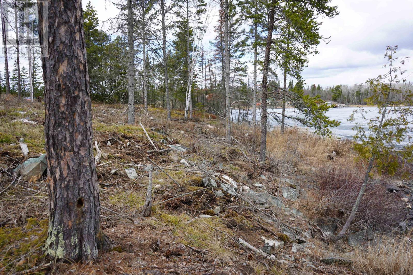 19a Miller Rd, Sioux Narrows, Ontario  P0X 1N0 - Photo 22 - TB2600439