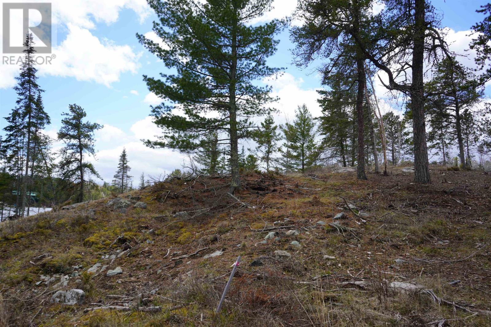 19a Miller Rd, Sioux Narrows, Ontario  P0X 1N0 - Photo 23 - TB2600439