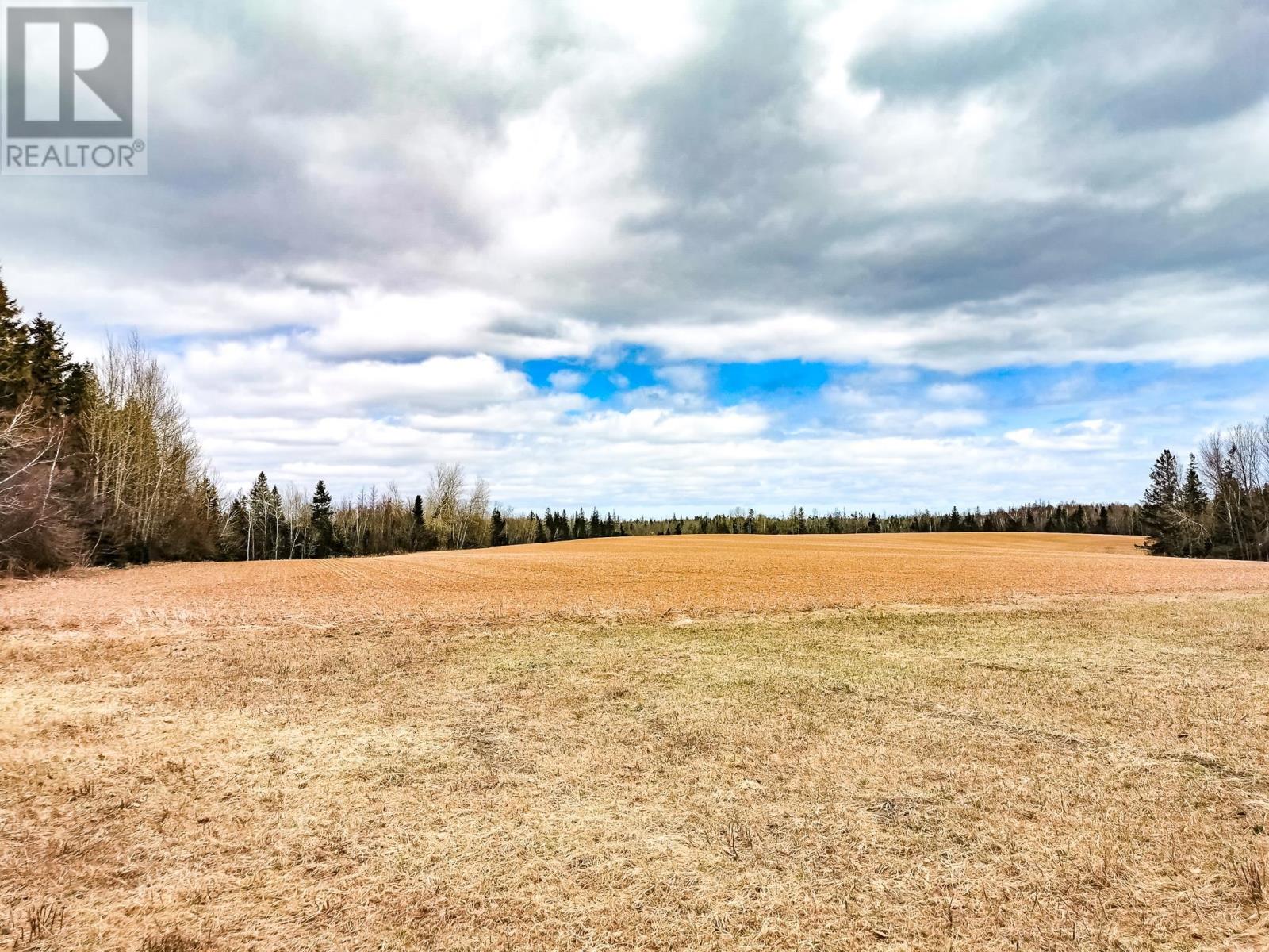 5294 Rte 17, Murray Harbour North, Prince Edward Island  C0A 1R0 - Photo 3 - 202609034