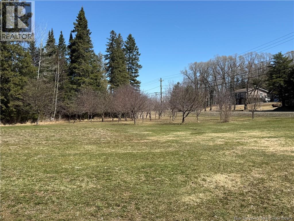 2833 Route 108, New Denmark, New Brunswick  E7G 2W4 - Photo 29 - NB132691