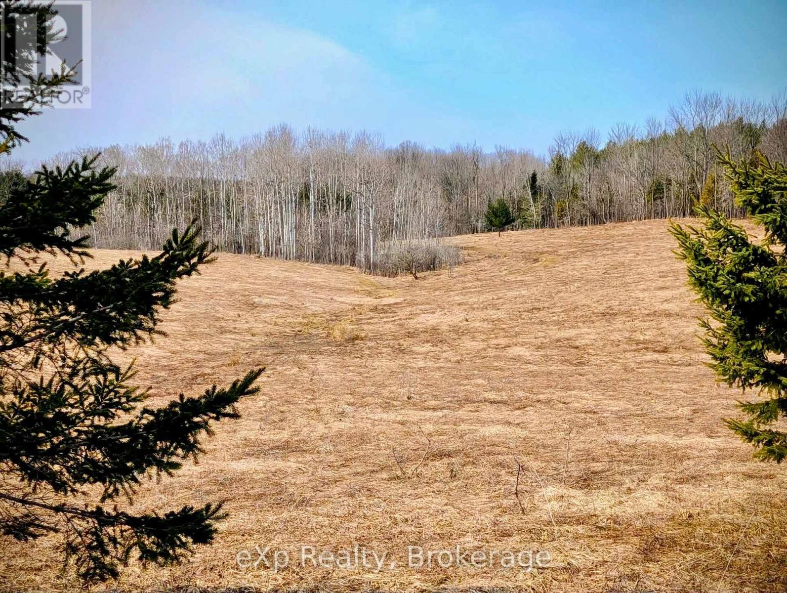 1348 Bruce Road 11, Arran-Elderslie, Ontario  N0G 2N0 - Photo 25 - X12852482