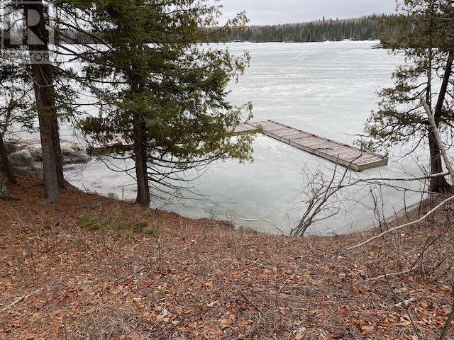 699 Coombes Dr, Dryden, Ontario  P8N 2Y5 - Photo 25 - TB2600850