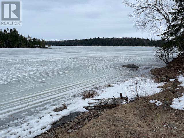 699 Coombes Dr, Dryden, Ontario  P8N 2Y5 - Photo 28 - TB2600850