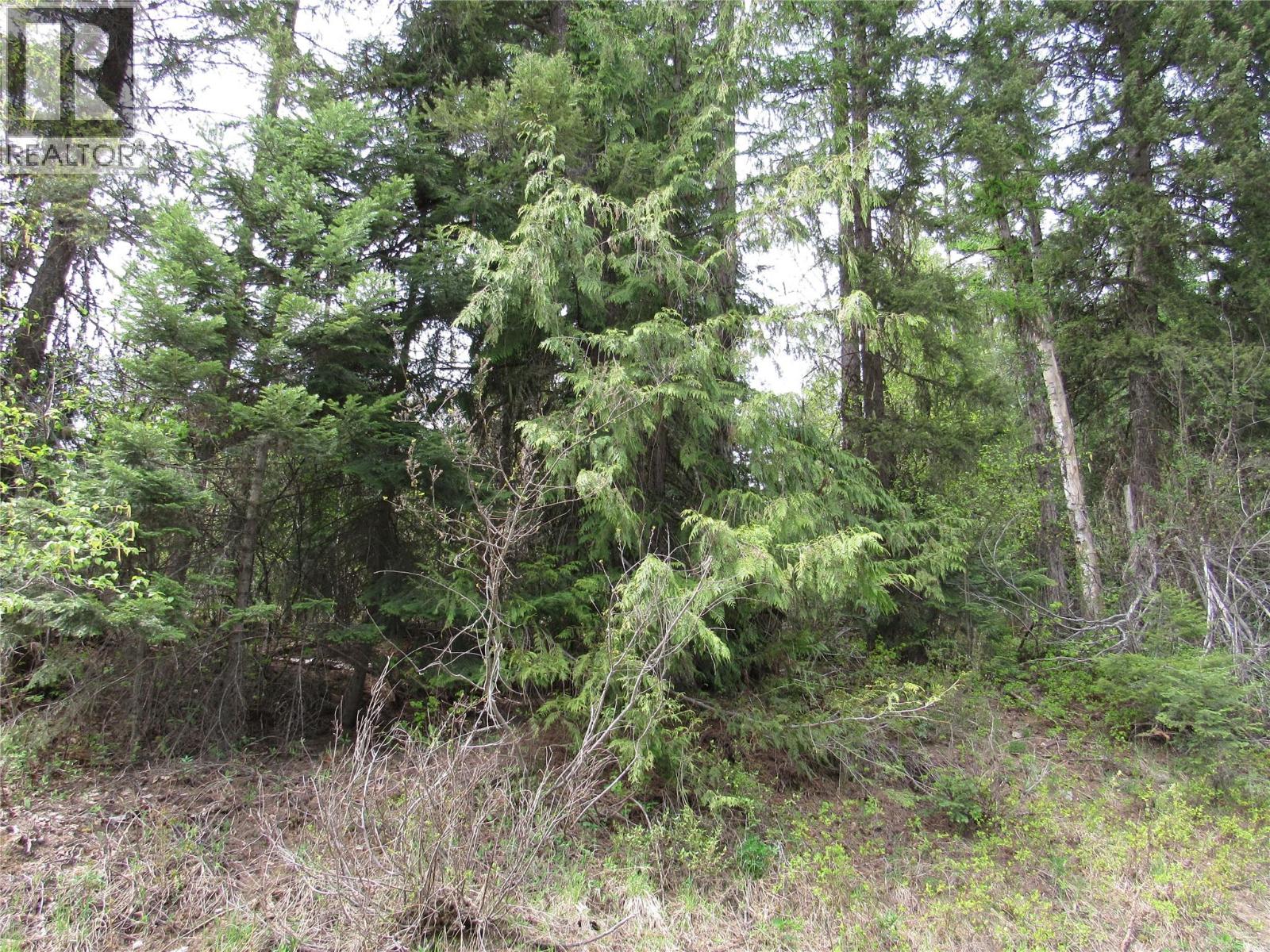 Lot 6 Thompson Road, Bonnington Falls, British Columbia